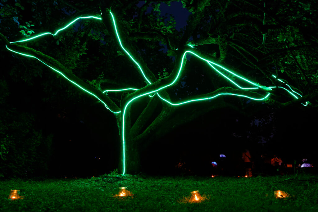 Jardin du crépuscule - promenade immersive dans un jardin privée. Son, lumière, artiste, installation scénographique, ambiance olfactive. Produit et réalisé par l'association Scène Sur Loing