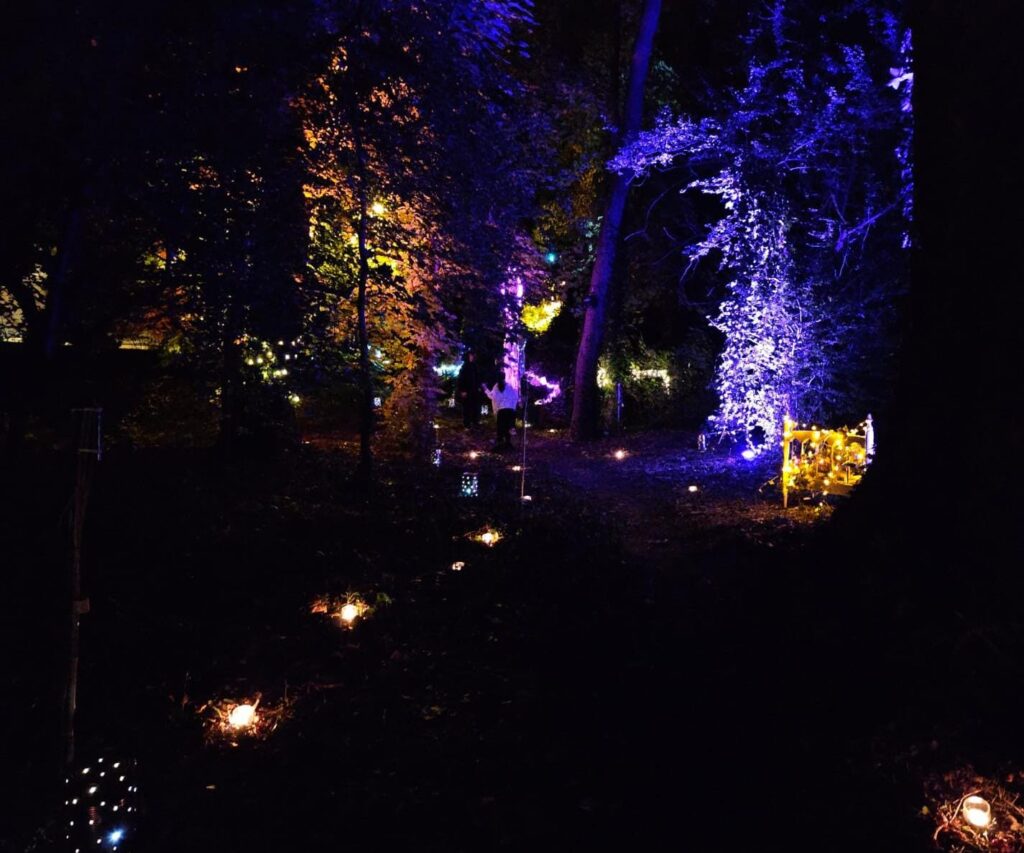 Forêt du crépuscule. Promenade immersive son et lumière dans une forêt ponctué de danse, chant, comédien...produit et réalisé par Scène Sur Loiing