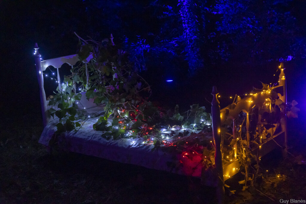 Forêt du crépuscule. Promenade immersive son et lumière dans une forêt ponctué de danse, chant, comédien...produit et réalisé par Scène Sur Loiing