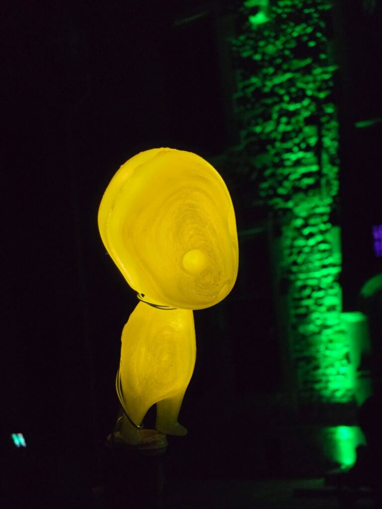 Photo Fête des lumières 2025